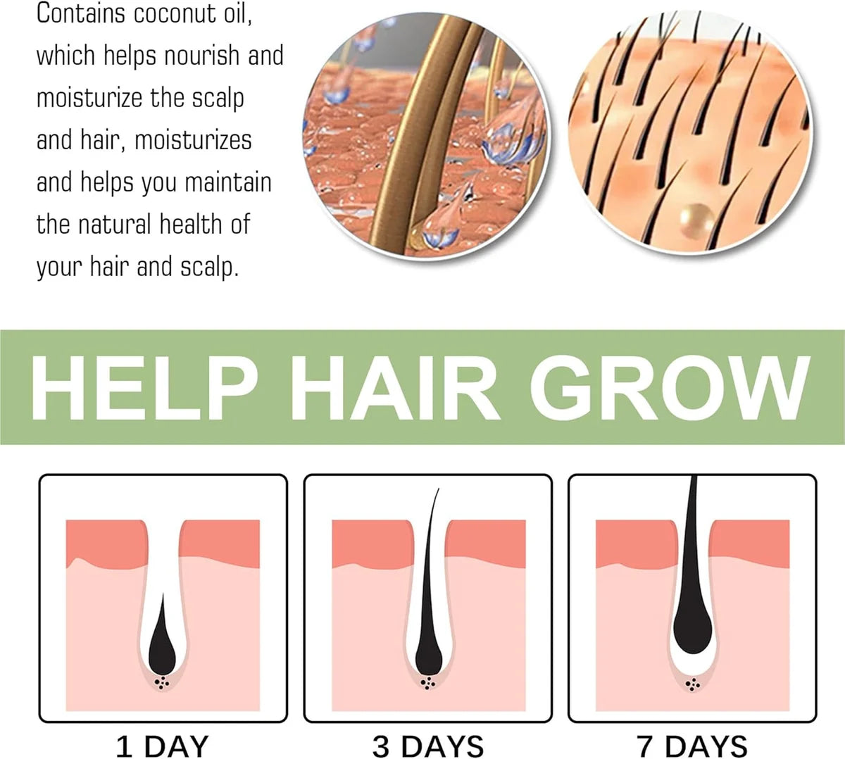 Diagram showing hair growth over 1, 3, and 7 days with text about coconut oil's benefits for hair and scalp.